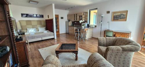 Sofia Premium Apartment free parking, Budapešť (fotografie 2)