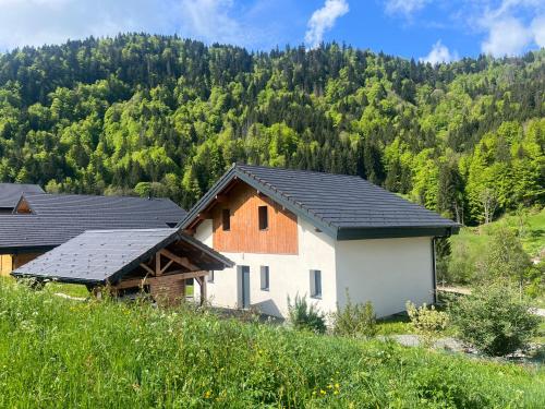 Villa en Bellevaux avec sauna et jacuzzi