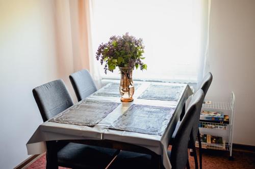 Facilities, Apartman Pod Zalym in Jilemnice