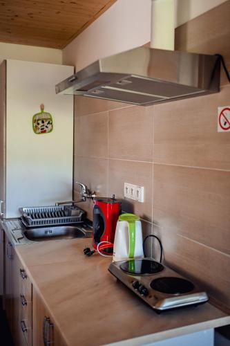 Kitchen, Apartman Pod Zalym in Jilemnice