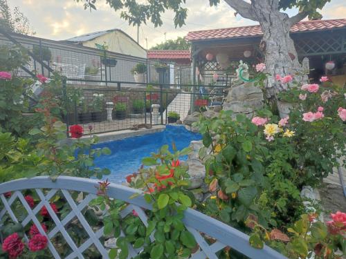 Bujtina Meraja in Dardhe