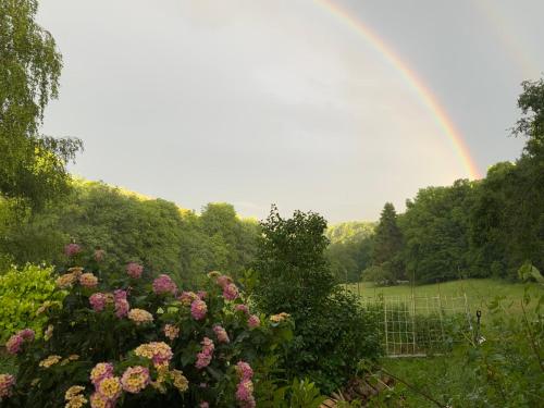 Waldbaden am Blauen in لوفين