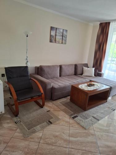 Marti Vendeghaz in เฮกกีโค่