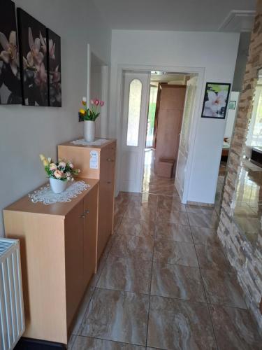 Marti Vendeghaz in เฮกกีโค่