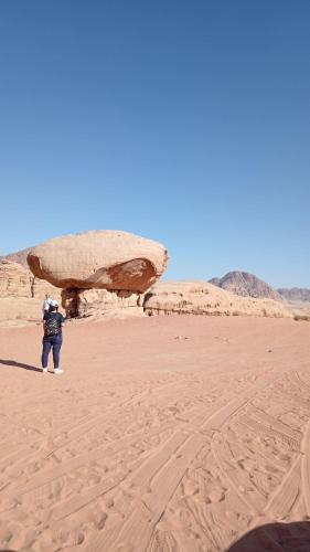 Wasan Camp Wadi Rum - image 2