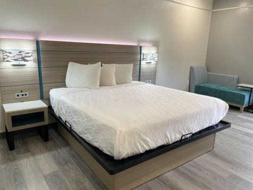 King Room - Disability Access - Non-Smoking