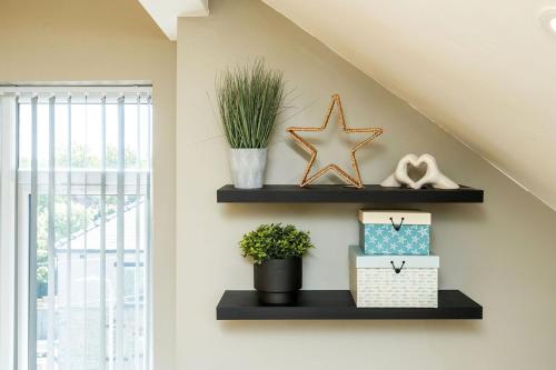 Springmill Gem in Trident