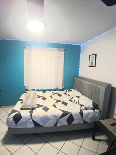 Studio-01 in Lutz (FL)