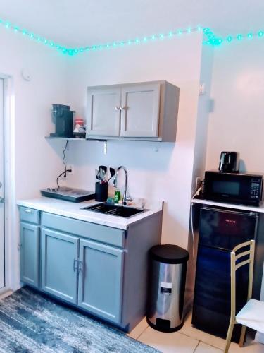 Konyha, Cozy Studio Apartment! in Lutz (FL)