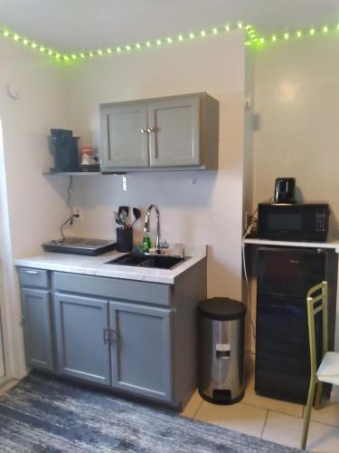 Konyha, Cozy Studio Apartment! in Lutz (FL)