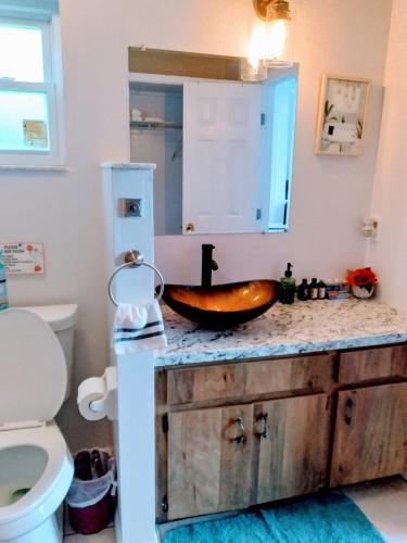 Fürdőszoba, Cozy Studio Apartment! in Lutz (FL)