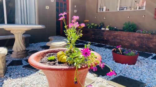 Giardino, Micnels Stay Over in Pretoria