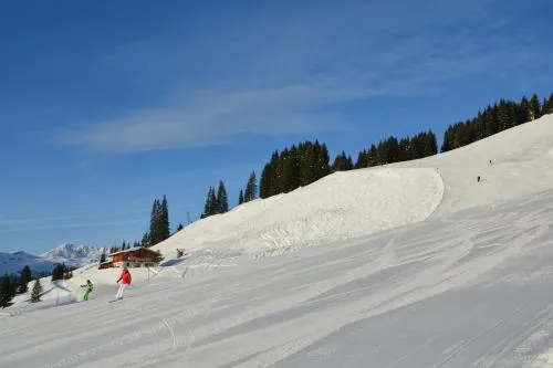 Wallegg Lodge - Alpine Premium Chalet - Ski In-Ski Out - Real Alpine Location Saalbach in Saalbach-Hinterglemm, Österreich