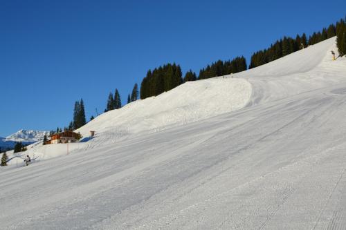 Wallegg Lodge - Alpine Premium Chalet - Ski In-Ski Out