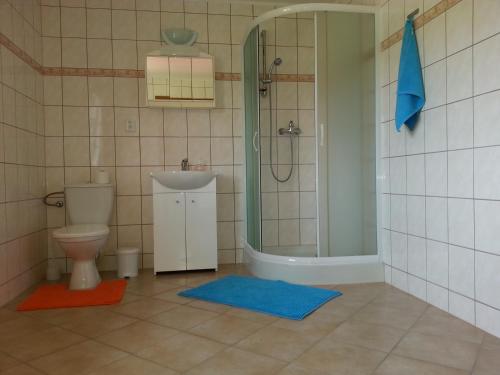Zuhanyzó, Guest House Stary Sedlonov in Trutnov