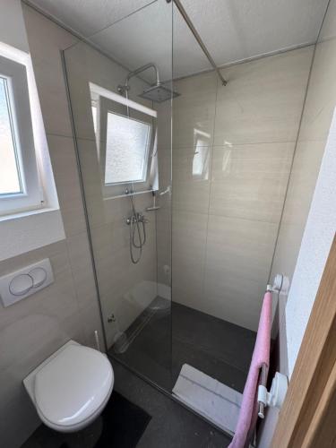 Zovko apartments in Sluzanj