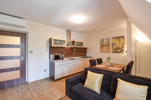 bucătărie, Apartmany Na Seniku in Trebon City Center