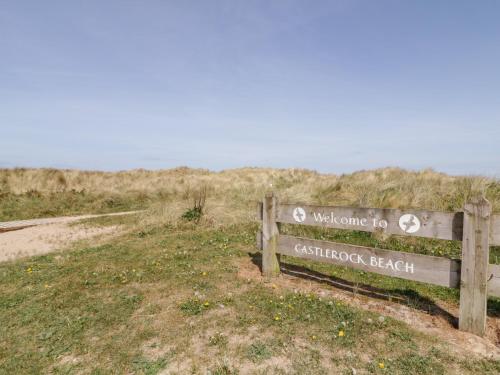 SeaShells - image 10