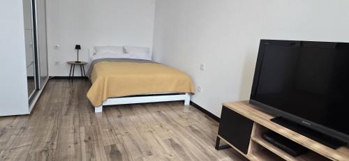 Apartament Typu Studio - TG