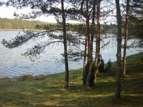 Wczasy na Kaszubach, balia, sauna, jezioro