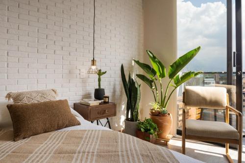 Cozy, Bright & Organic Apt in tradicional Laureles