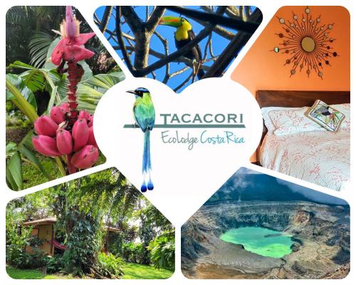 Tacacori EcoLodge, Alajuela City