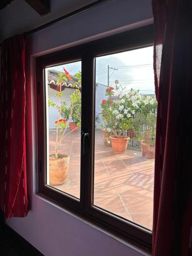 Casa Elena, Antigua Guatemala (foto 7)