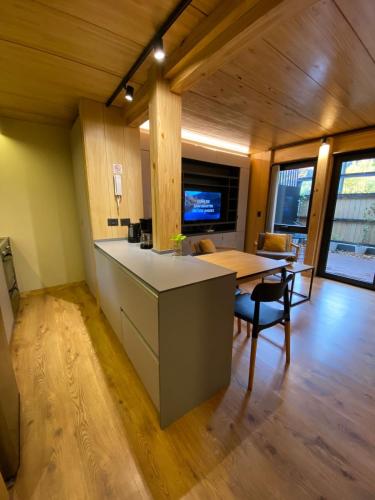 One-Bedroom Apartment image 9