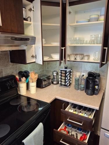 SimplyLovely Modern Condo Near Downtown Ottawa with Free Parking and Patio in Alta Vista