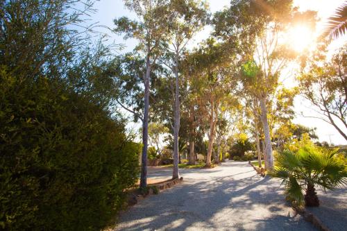 Modras Apartments Tumby Bay