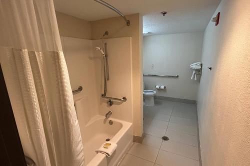 Microtel Inn & Suites by Wyndham Arlington/Dallas Area - image 12