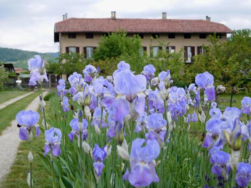 Accommodation in Cumiana