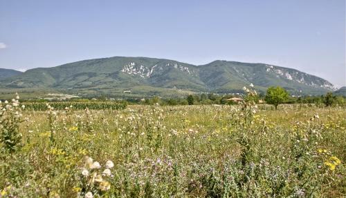 Uitzicht, DuVa mongolska yurta in Petrovac Na Mlavi
