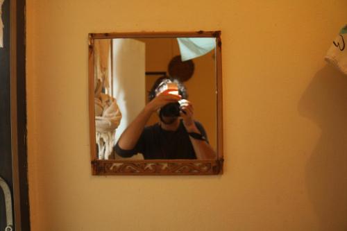 Eco House, Bangkok (foto 11)