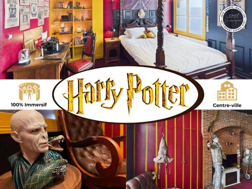 Harry-Potter - Location saisonnière - Troyes