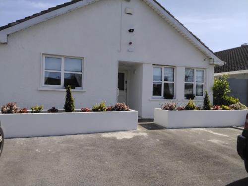 Shauna's Guest house in Уотърфорд