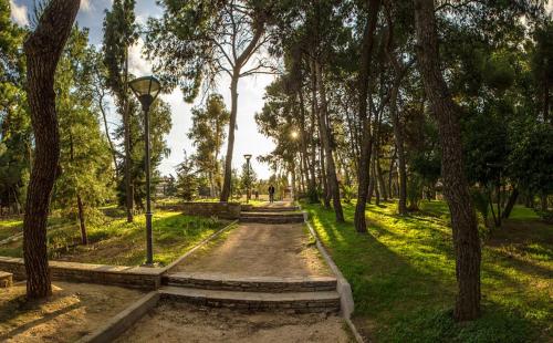 15' to Sea & Acropolis, Atenas (foto 6)