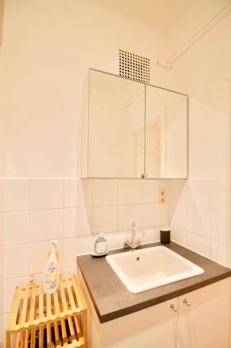 Very nice & large studio-Plasky, Brusel (fotografie 5)