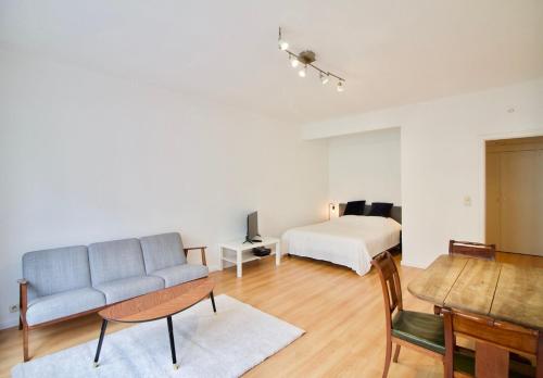 Very nice & large studio-Plasky, Brusel (fotografie 6)