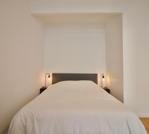 Very nice & large studio-Plasky, Brusel (fotografie 8)