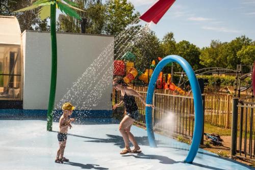 Papillon Country Resort in Денекамп