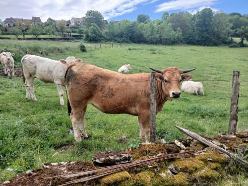 Maison vacances 4 personnes in ปูยี-ออง-โอซัว