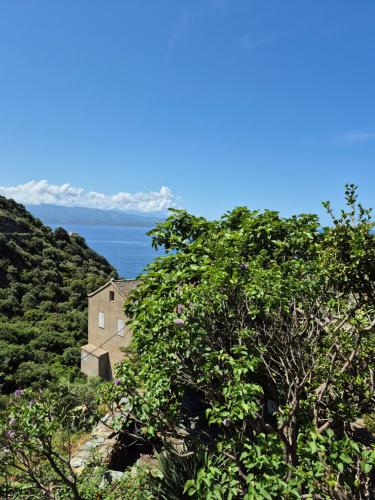 Nonza vue sur mer in Nonza