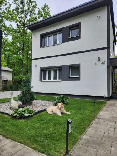 Apartmán Kocka na prízemí