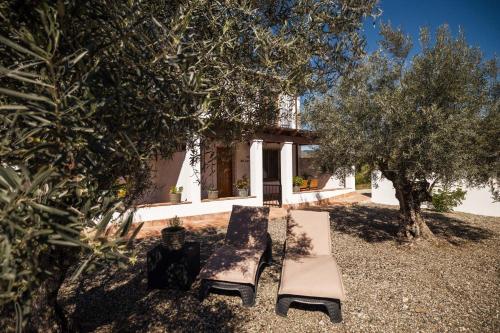 Casa de las Cañas by Rosas Cantares - Tap to explore photos