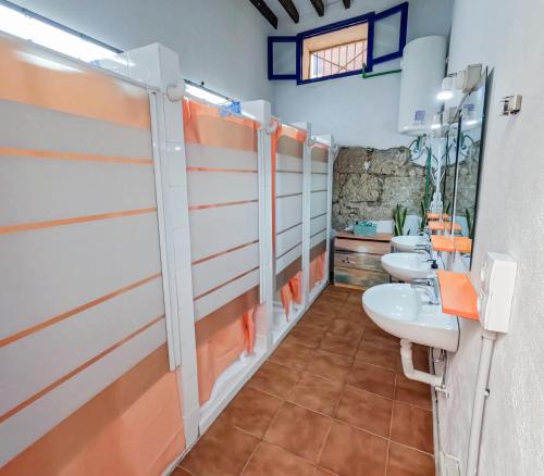 Ashavana Nest Hostel in เตเนรีเฟ