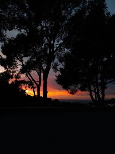 20 m2 studio dans les Calanques - Location saisonnière - Marseille