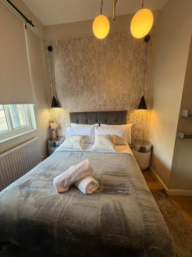 A1-1 Bed Ground Floor Flat in Elephant Castle, Londra (foto 6)