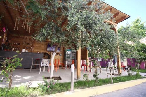 Vila Bajrami in Vlora