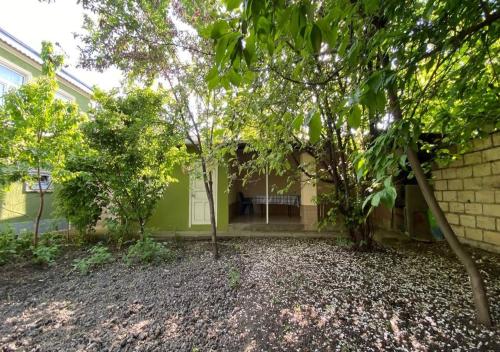 Harmony of Nature in Chilegir